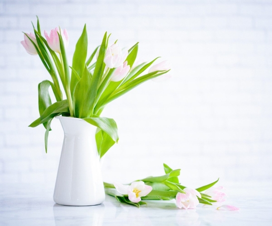 brooke-lark-210780@2x