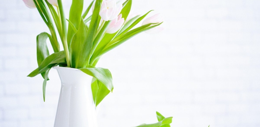 brooke-lark-210780@2x