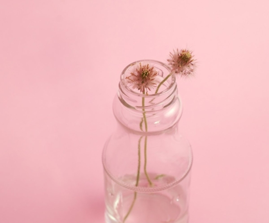 photo-1429679310900-bad303d0e63a-1@2x