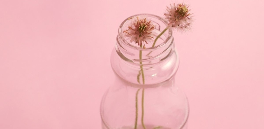 photo-1429679310900-bad303d0e63a-1@2x